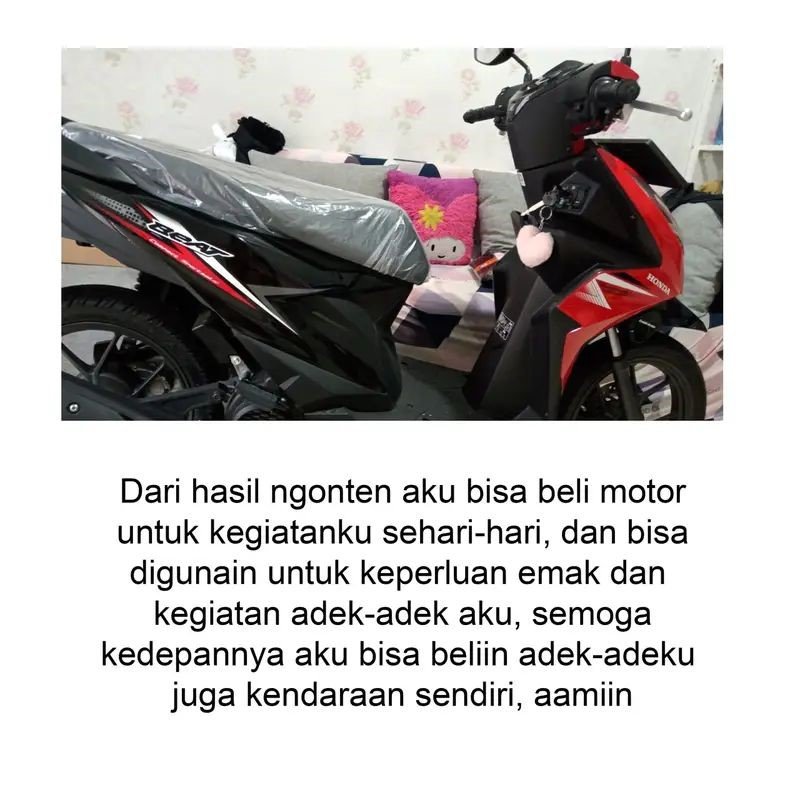 testi 6